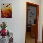 Na Do Surf * פניש